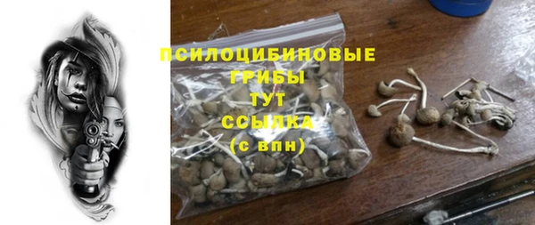 прущие крисы Арсеньев