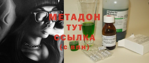 сатива Аркадак