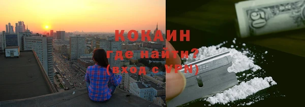 сатива Аркадак