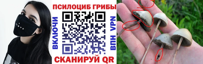 как найти закладки  Лысково  Галлюциногенные грибы Psilocybine cubensis 